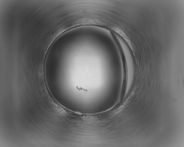 X0000073471089200608111530