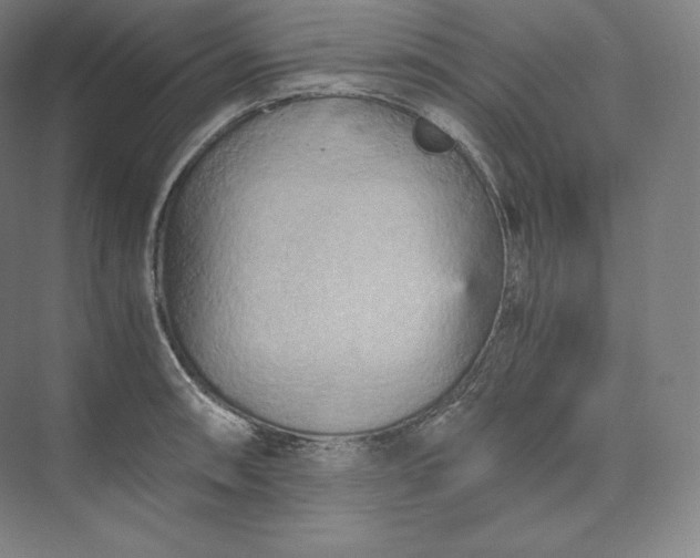 X0000073471090200608111530