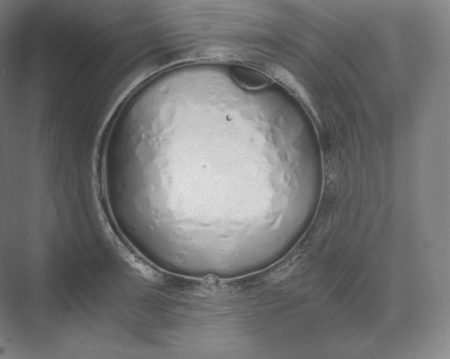 X0000073471091200608111530