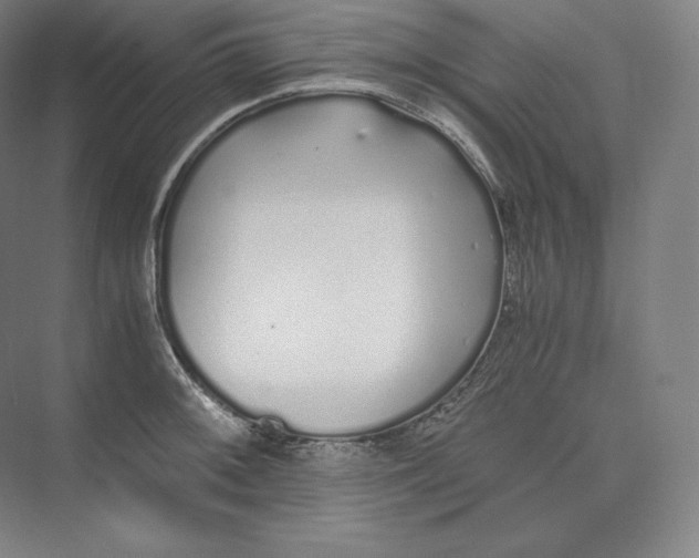 X0000073471092200608111529