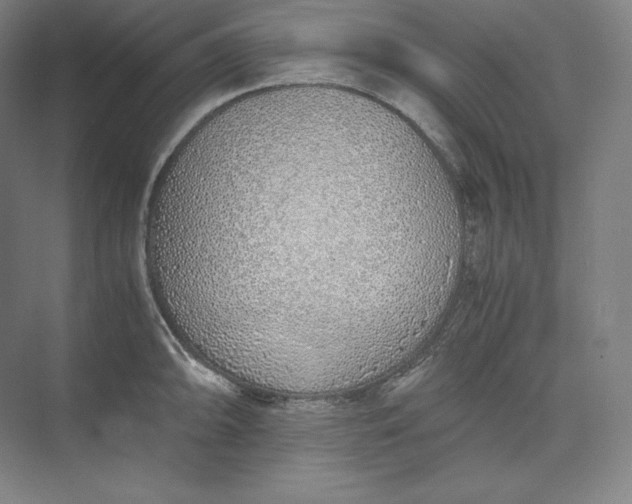 X0000073471094200608111529