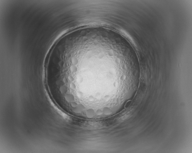 X0000073471095200608111529