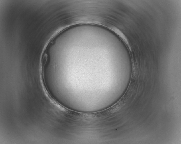 X0000073471096200608111529