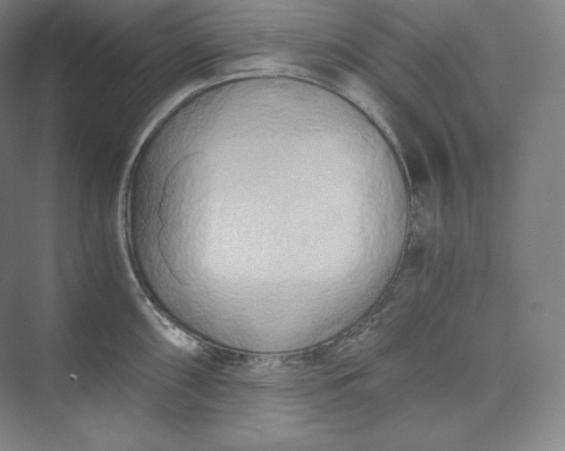 X0000073471098200608111529