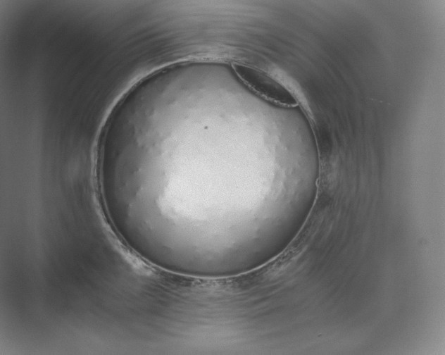 X0000073471099200608111529