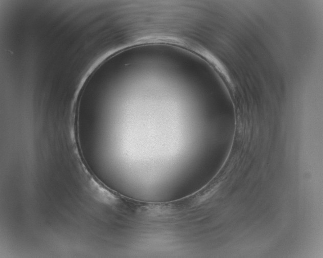 X0000073471102200608111529