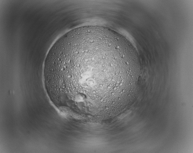 X0000073471103200608111529