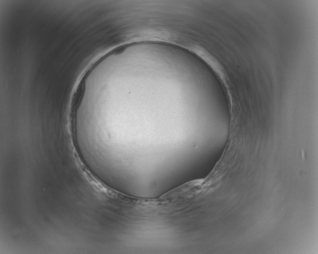 X0000073471104200608111529