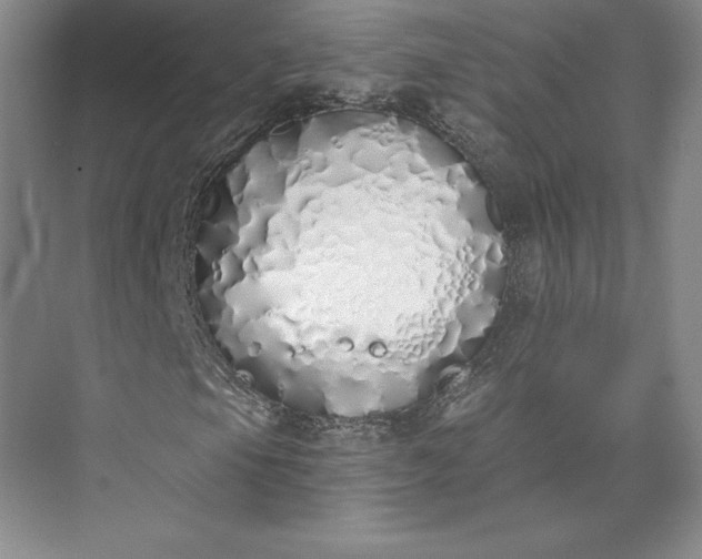 X0000073471105200608111528