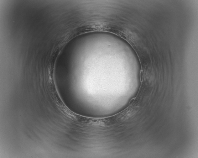 X0000073471106200608111528