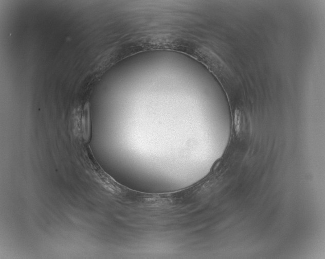 X0000073471107200608111529