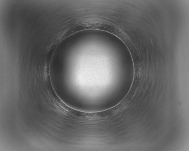 X0000073471108200608111529