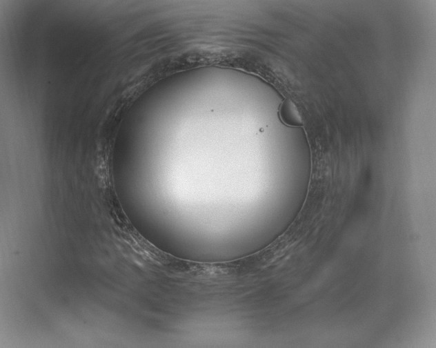 X0000073471109200608111529