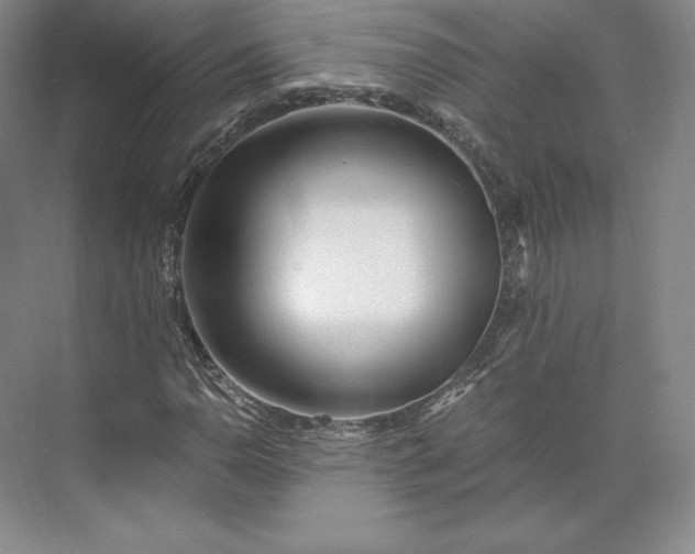 X0000073471110200608111529