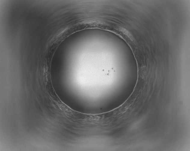 X0000073471111200608111529