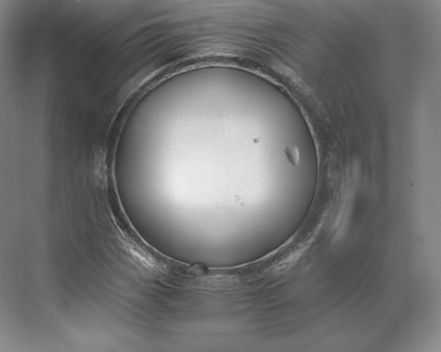 X0000073471113200608111529