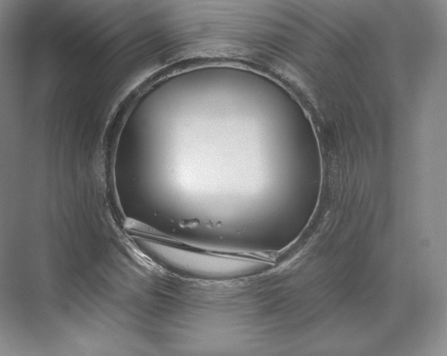 X0000073471114200608111529