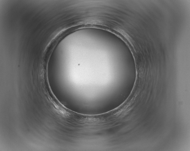 X0000073471115200608111529