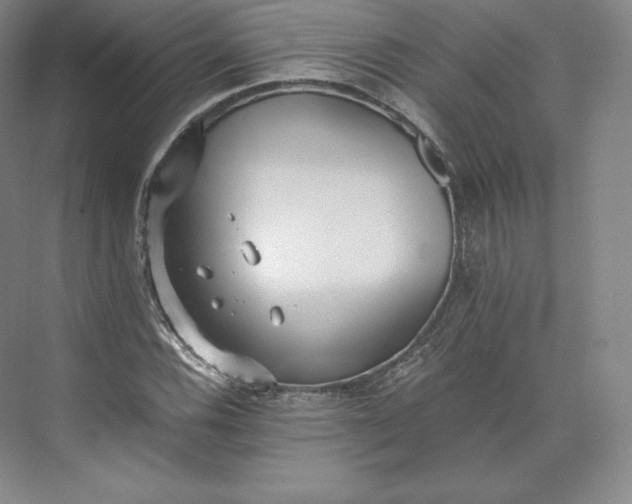 X0000073471116200608111529