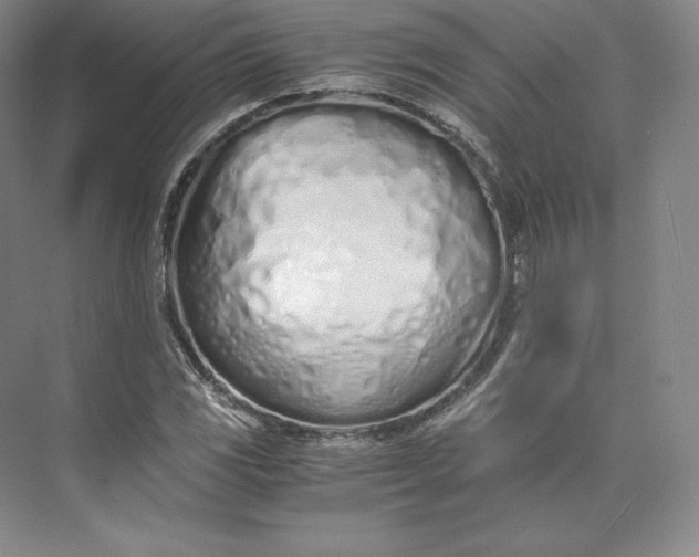 X0000073471117200608111529