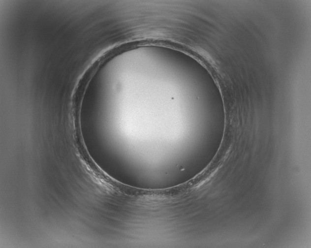 X0000073471118200608111529