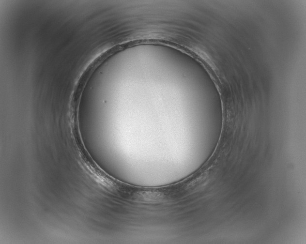 X0000073471119200608111529