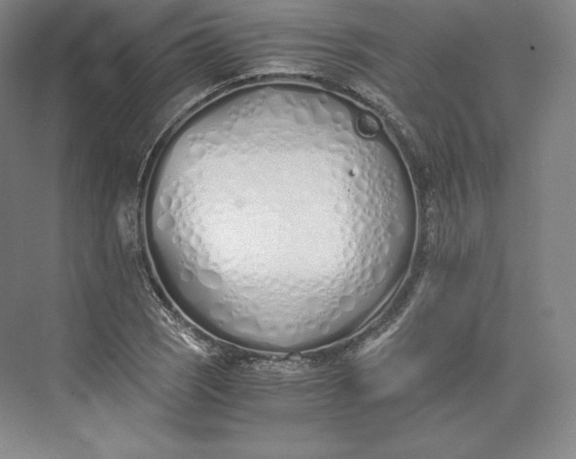 X0000073471121200608111529