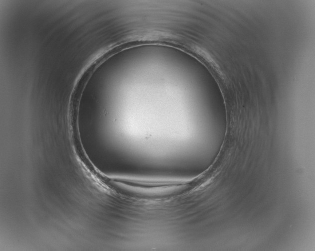 X0000073471122200608111529