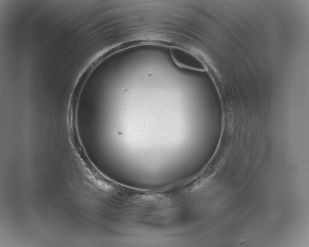 X0000073471125200608111529