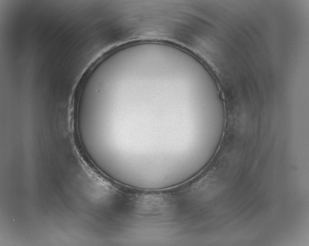 X0000073471126200608111529