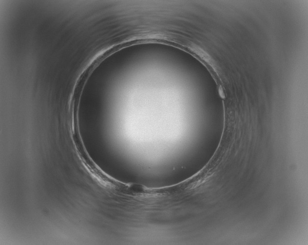 X0000073471127200608111529