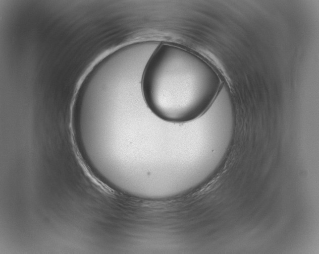 X0000073471128200608111529