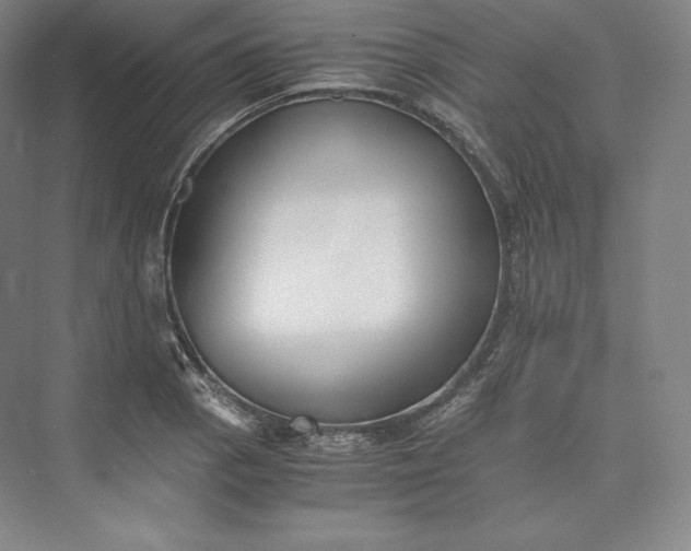 X0000073471129200608111529