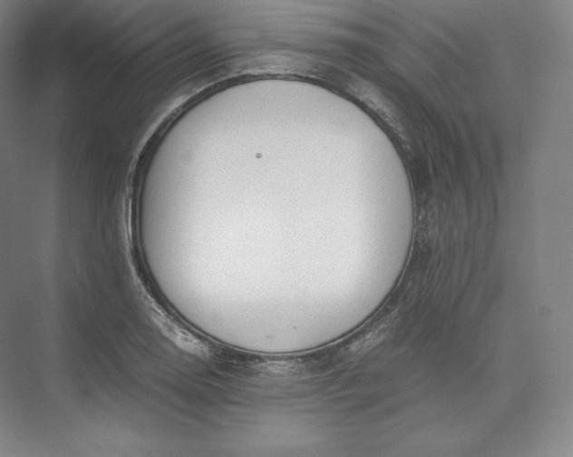 X0000073471130200608111529