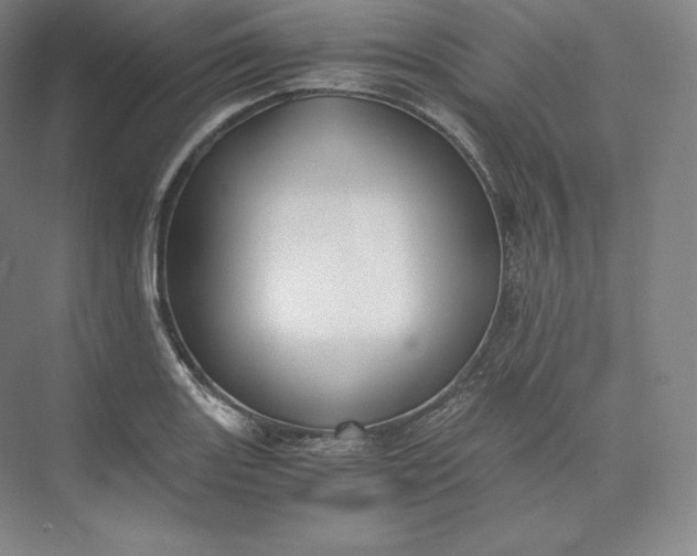 X0000073471131200608111529