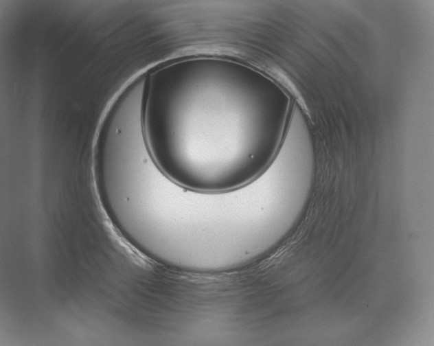 X0000073471132200608111529