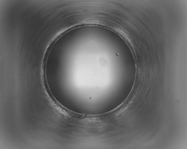 X0000073471133200608111529