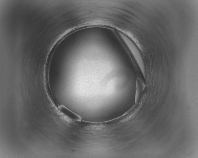 X0000073471134200608111529