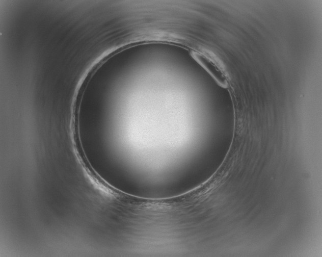 X0000073471136200608111529