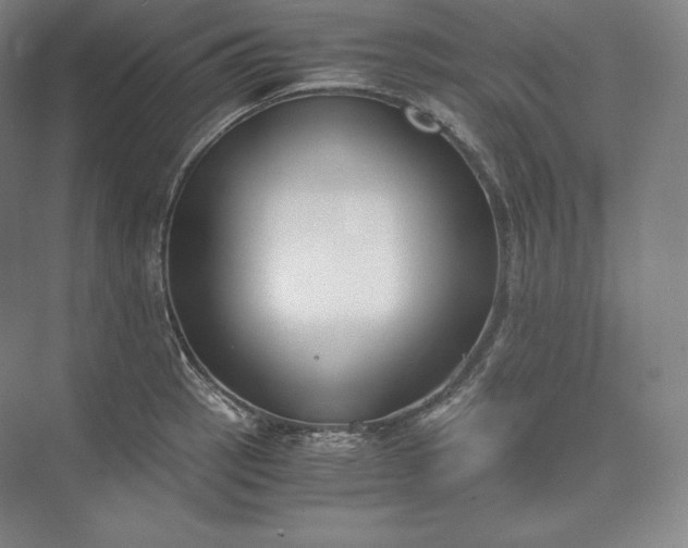 X0000073471137200608111529