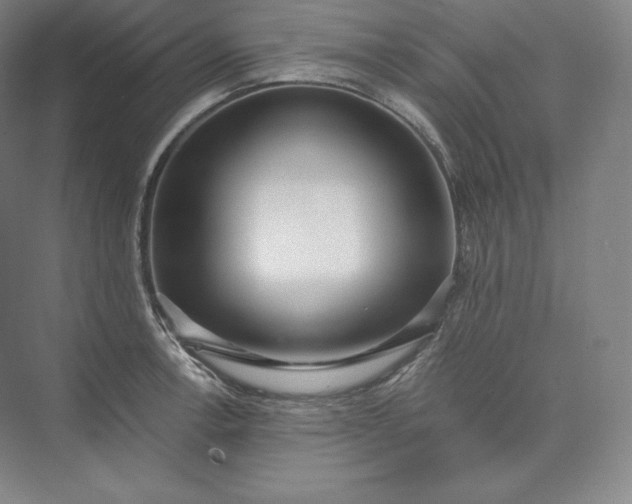 X0000073471138200608111529