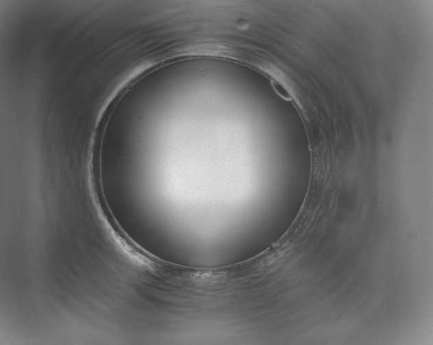 X0000073471139200608111529