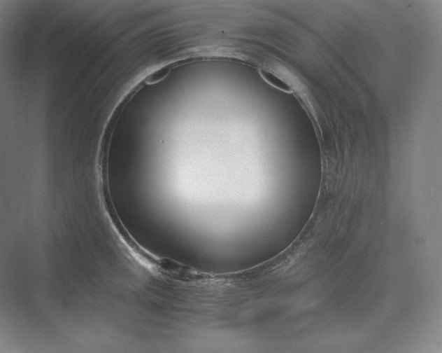 X0000073471141200608111529