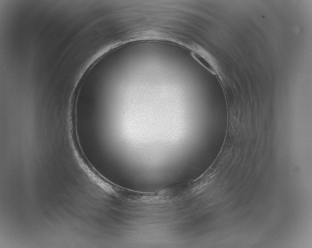 X0000073471142200608111529