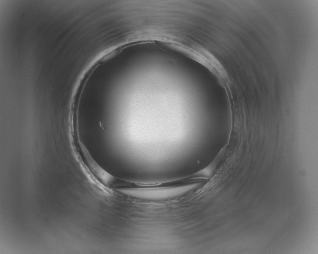 X0000073471144200608111529