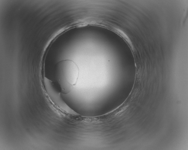 X0000073471146200608111529