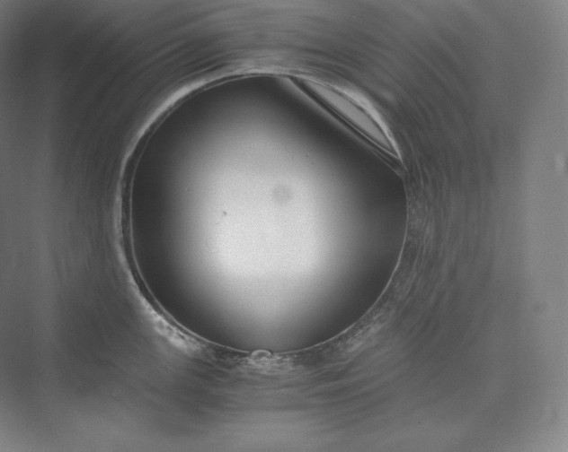 X0000073471147200608111529