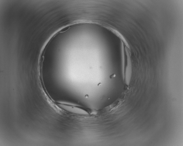 X0000073471148200608111529