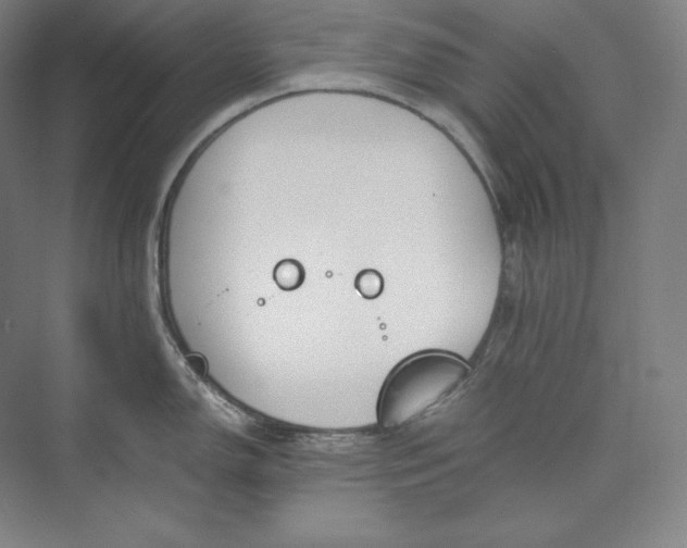 X0000073471150200608111529