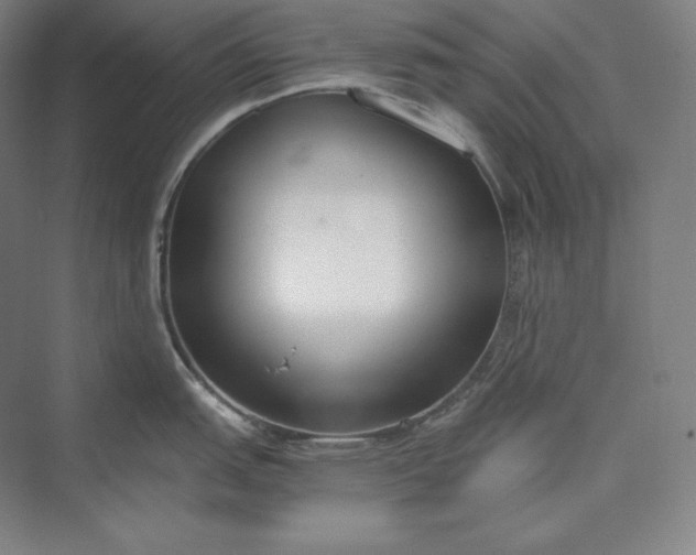 X0000073471151200608111529